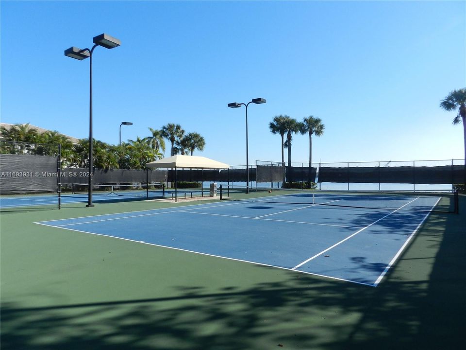 Community tennis Courts