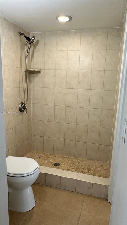 Updated & elegant shower