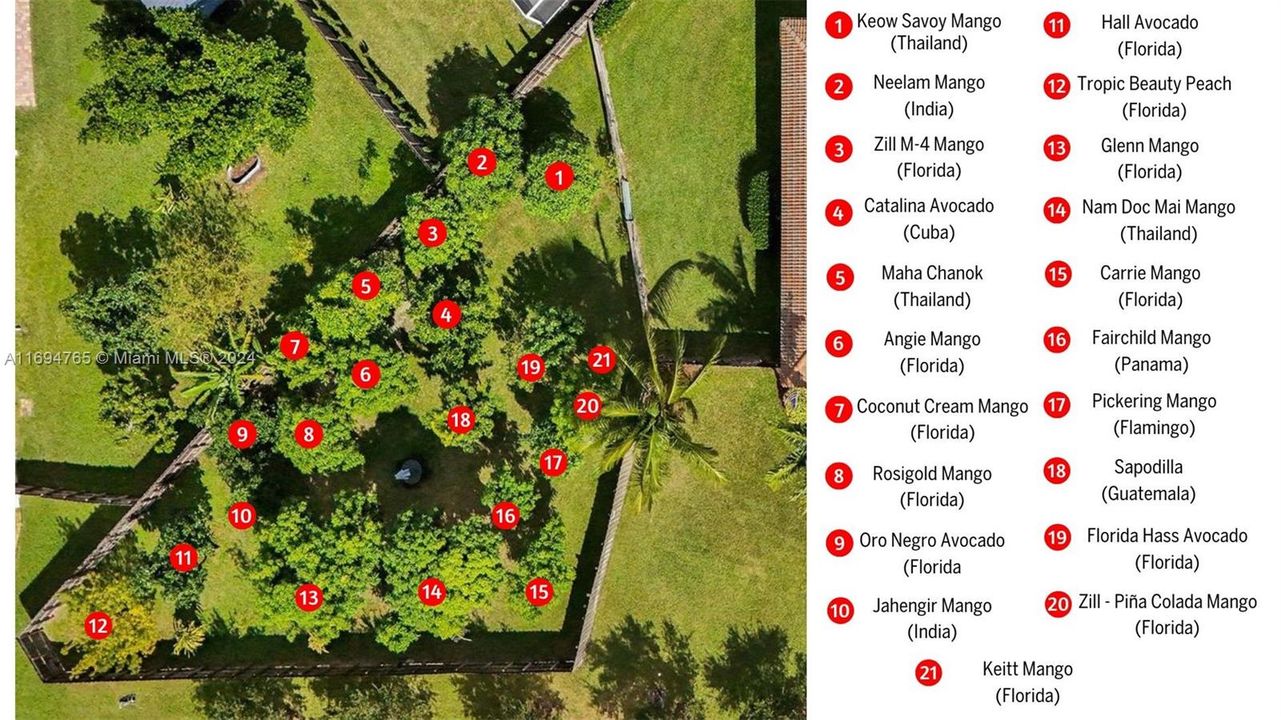 Fruit Trees Description