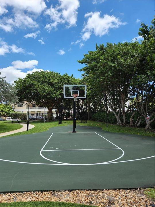 Basketball hoop .. surrounded by great greenery