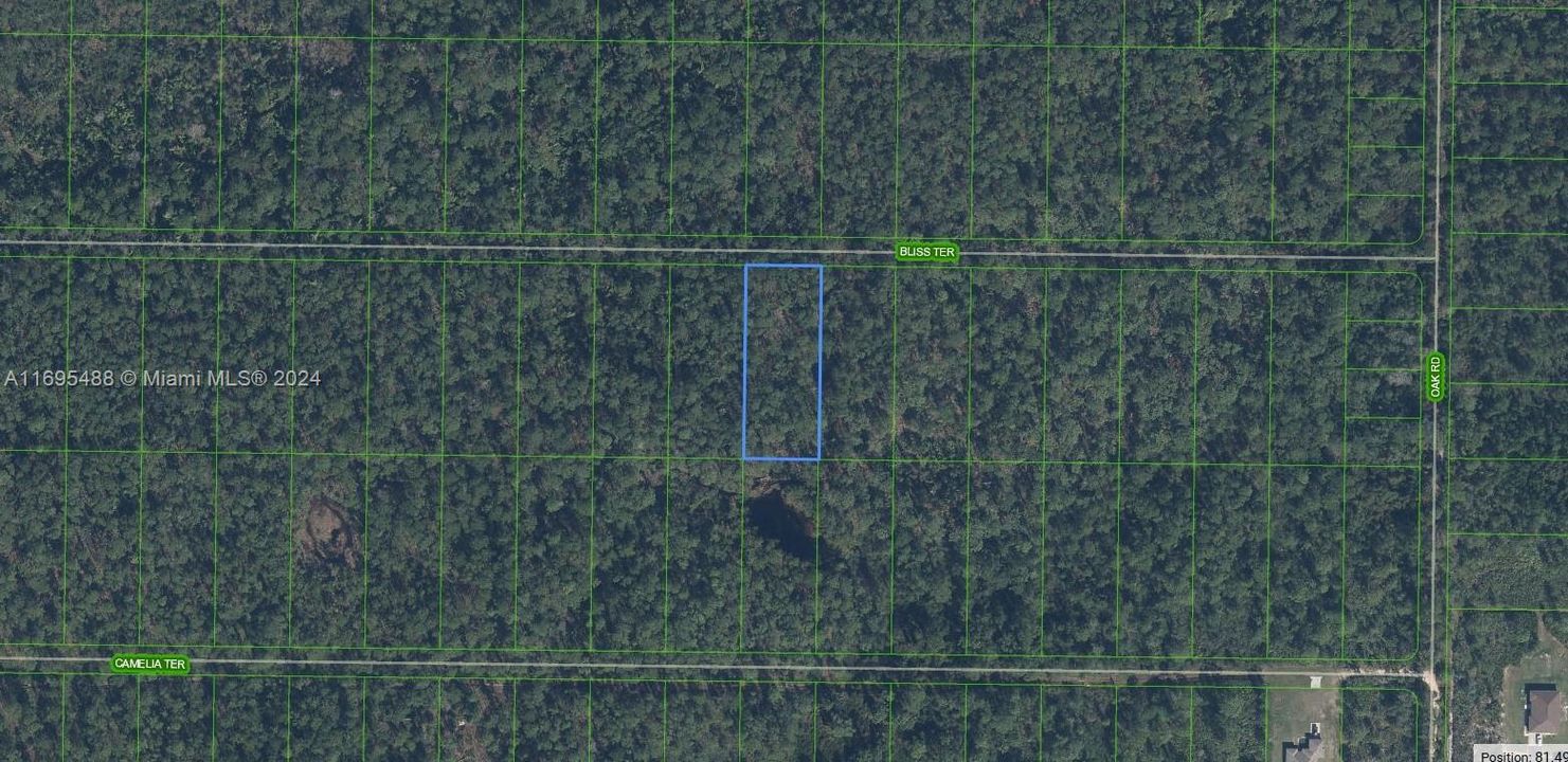 For Sale: $19,900 (1.00 acres)