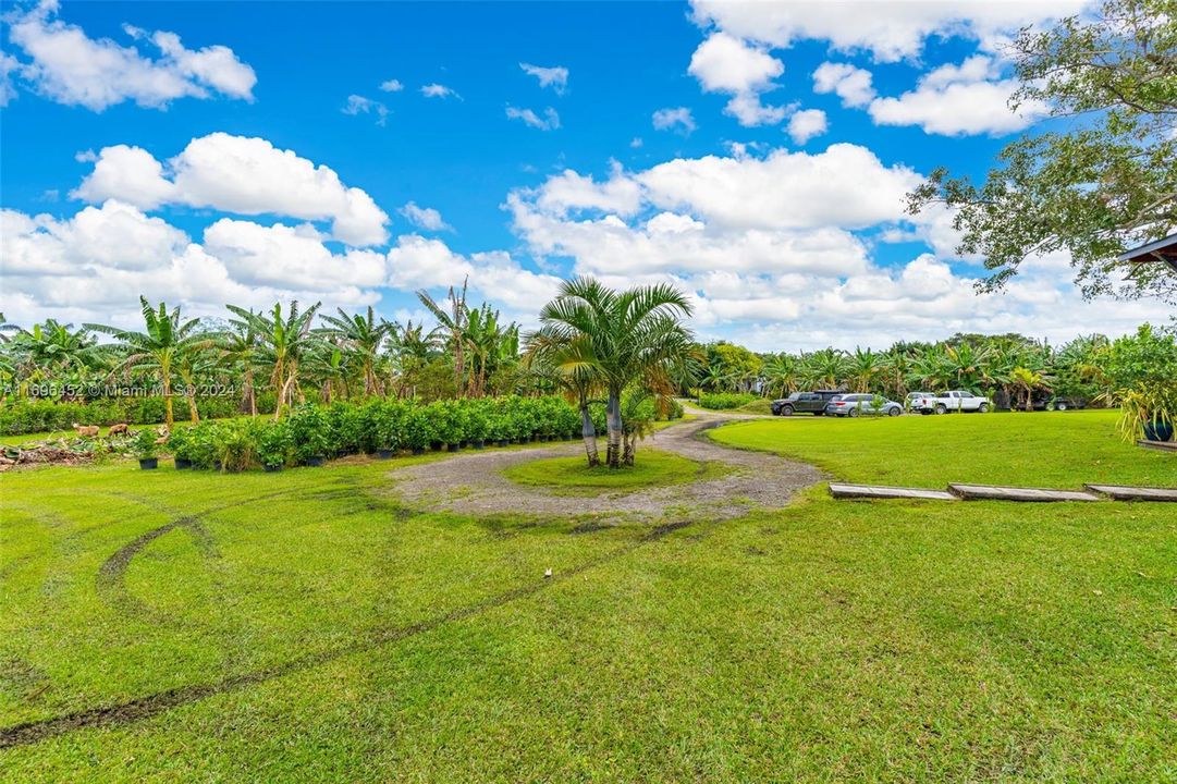 THE DRIVEWAY END.. THE STAIRS LEAD INTO THE OFFICE/PATIO.. THE  INTENDED USAGE WAS FAMILY HOME  W. POOL ITS ON THE HIGHEST POINT OF THE PROPERTY. GREAT BREEZES FROM SOUTH EAST..