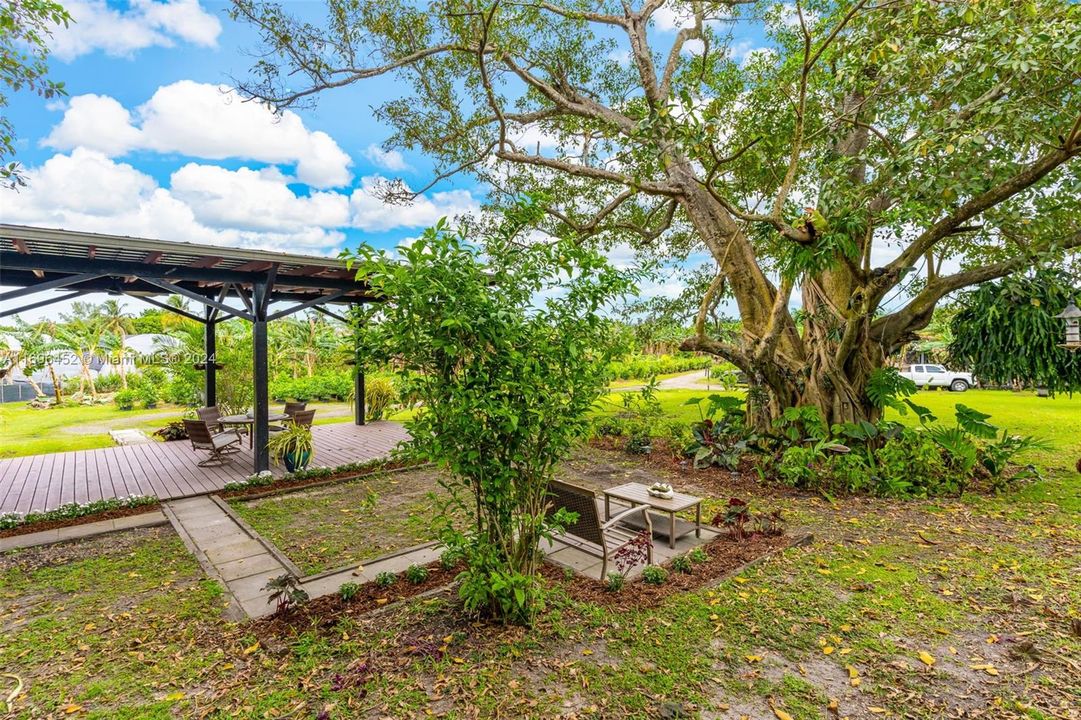 SITTING AREAS THROUGH OUT THE 5 ACRES