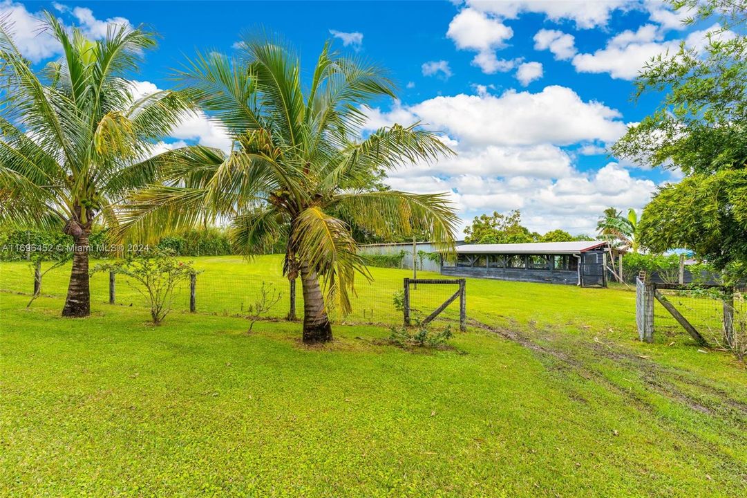 OPEN PASTURE AREA W/ BARN AND CROSS FENCING