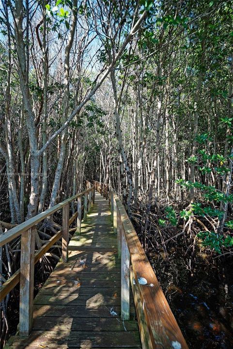 Nature Trail