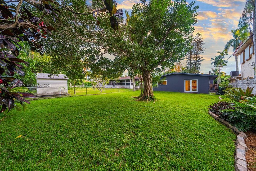 Enormous fully fenced back yard