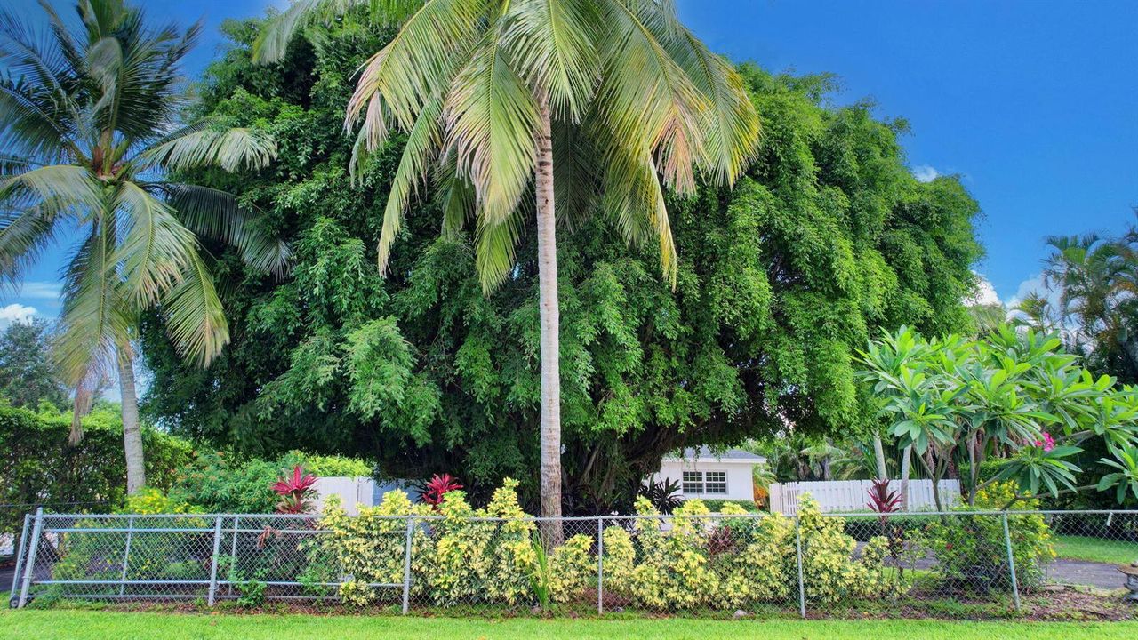 13-web-or-mls-House air (1)