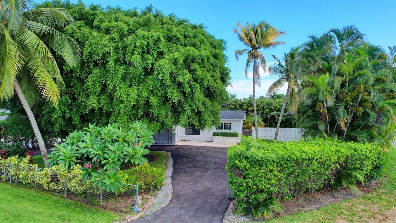 14-web-or-mls-House air (2)