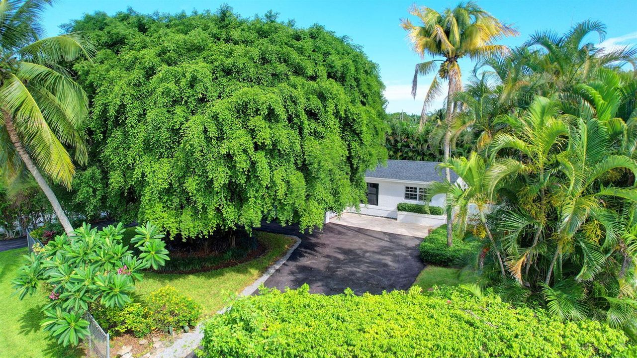 10-web-or-mls-House air (3)