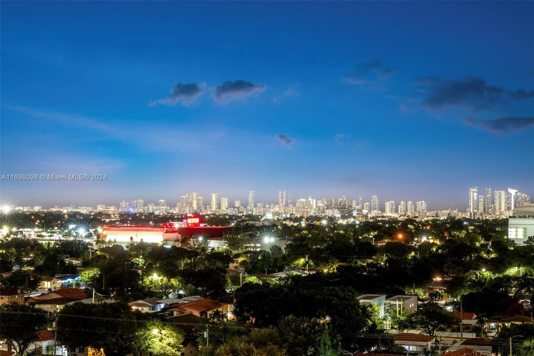 View of Miami Downtown/Brickell at night