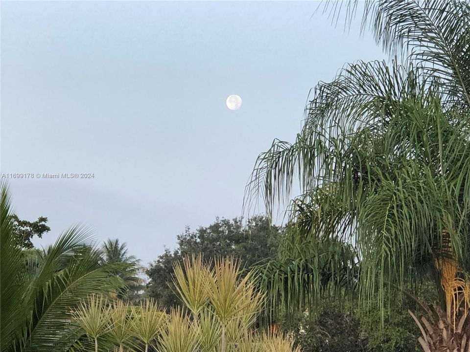 View across lake of the moon