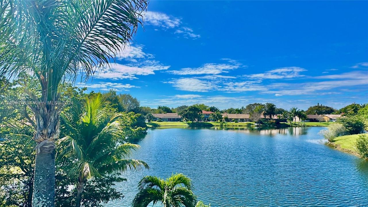 View from across the lake