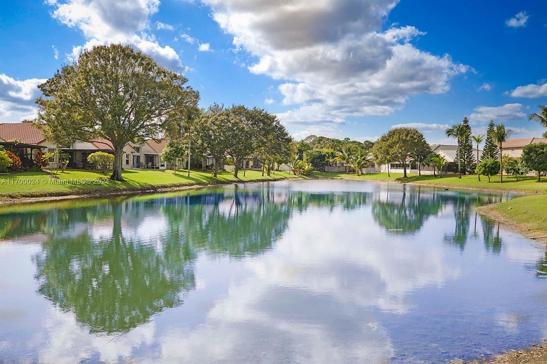 Backyard view of lake