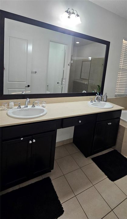 Double Sink area