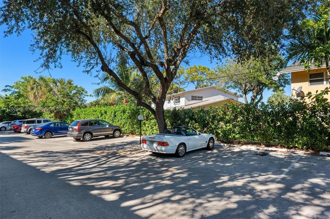 1 parking space in under the shady trees