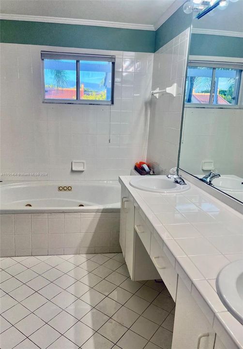 Master bathroom with walk-in shower, huge tub and dual sinks