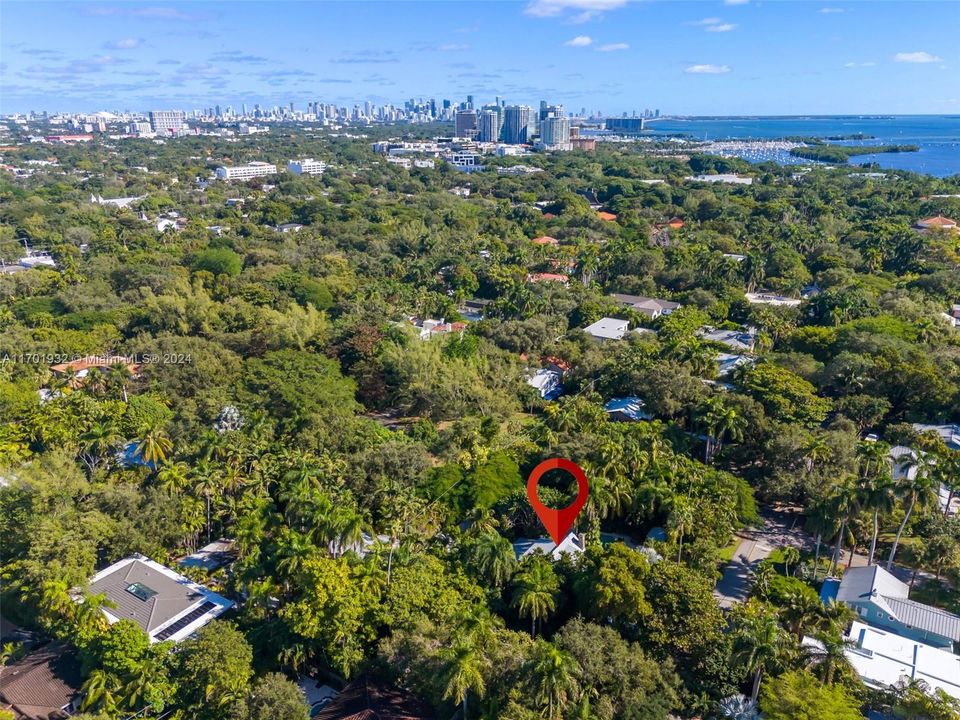 Close to Downtown Coconut Grove