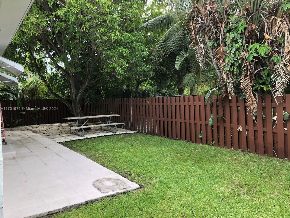 lush private backyard with mango tree and picnic table