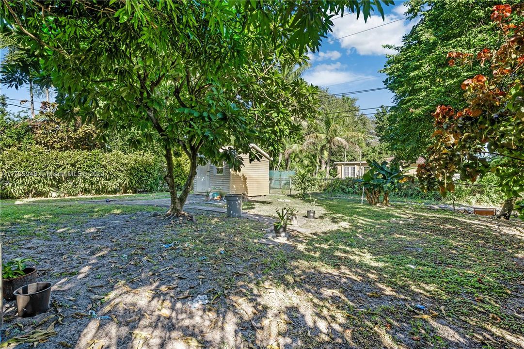 Spacious fenced-in back yard with fruit trees.