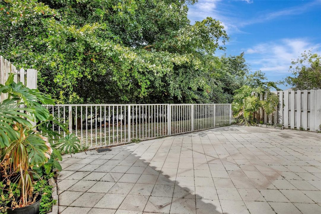 View of lush trees and canal from the rear of the house.