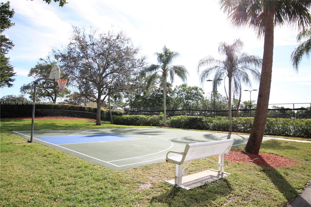 Basketball Court