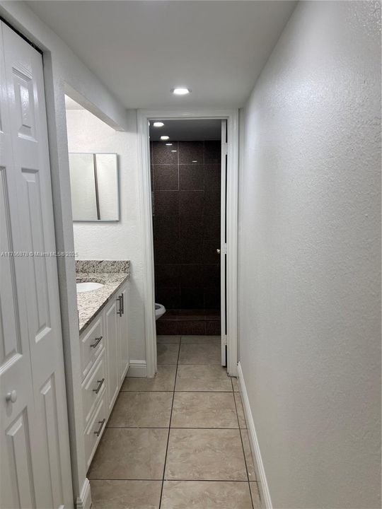 vanity / shower area