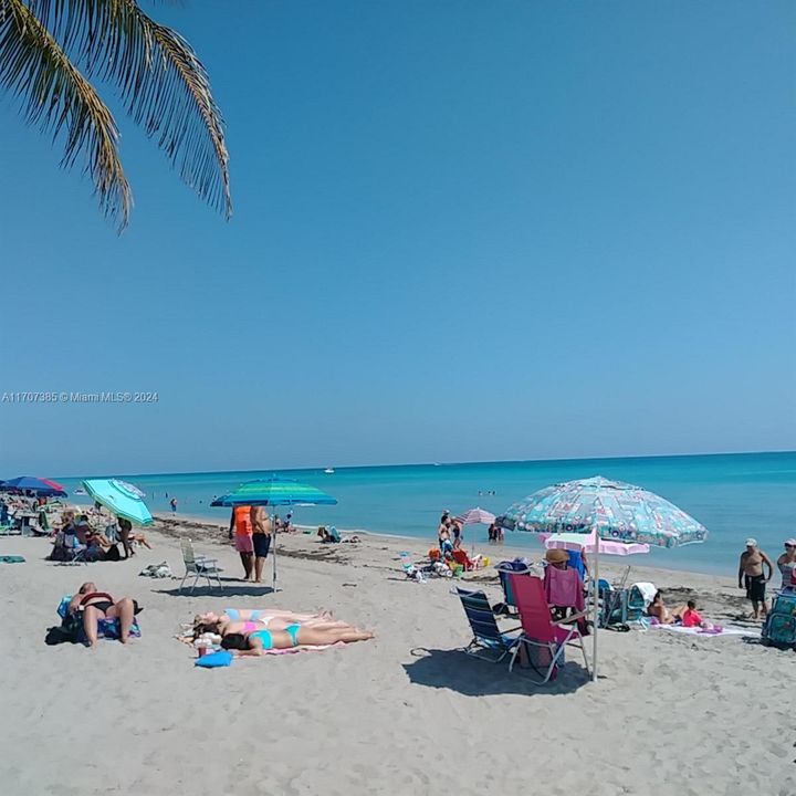 Hallandale Beach across the street from your complex