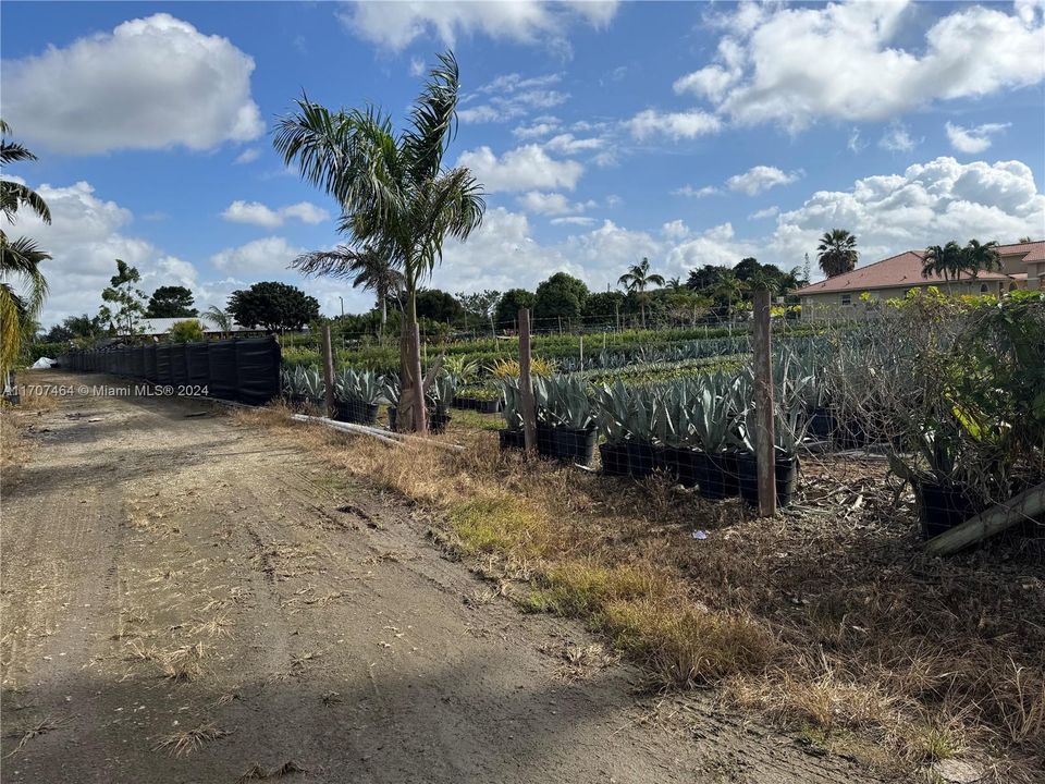 view of land to the right - lot presently being used as a nursery -