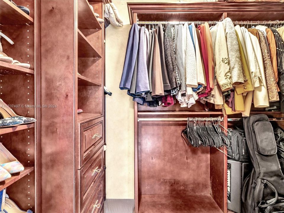 Walk-in closet with custom built ins