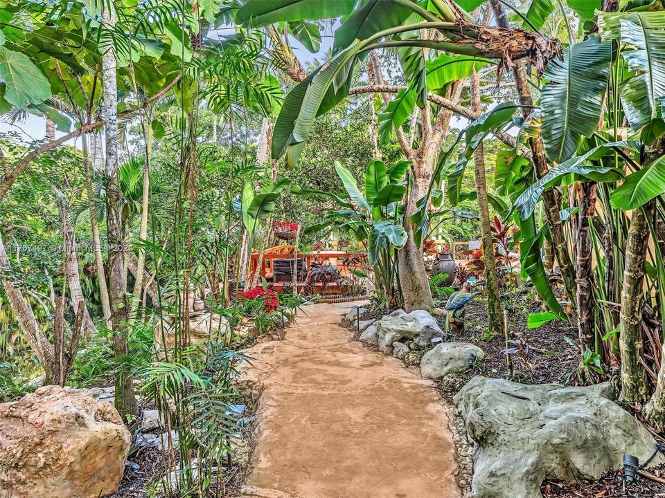 Yard with Orchid Garden and Fruit Trees