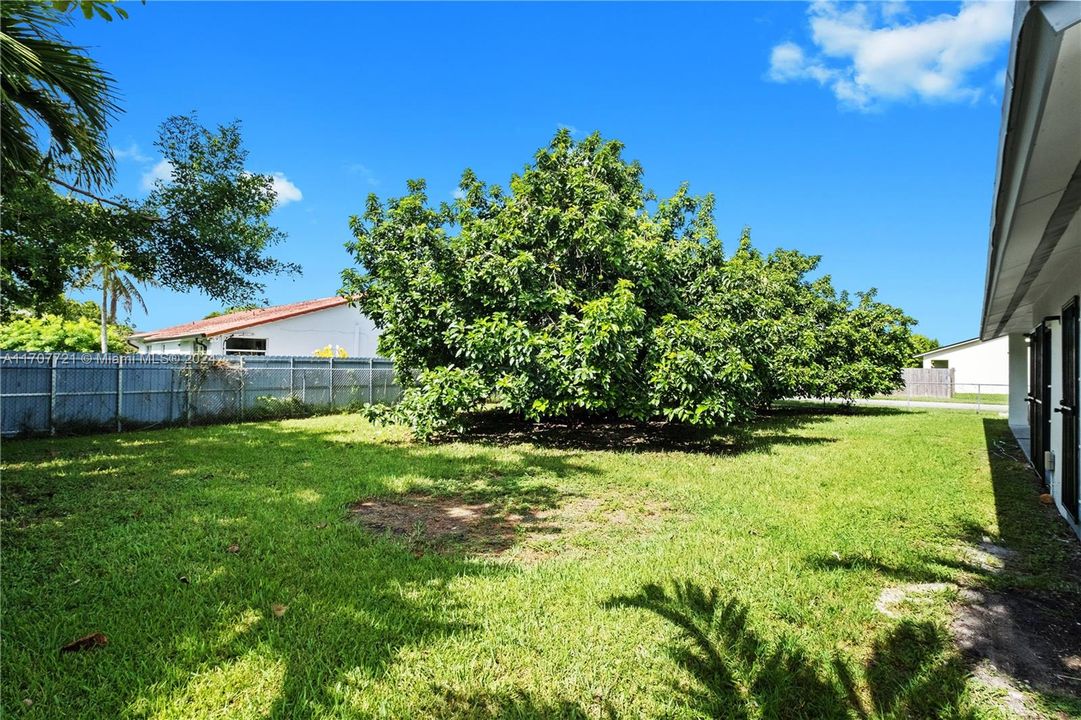 For Sale: $569,000 (3 beds, 2 baths, 1294 Square Feet)