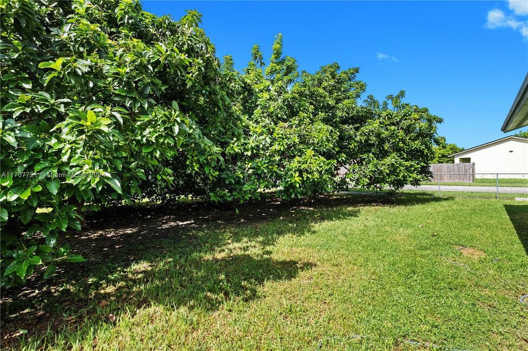 For Sale: $569,000 (3 beds, 2 baths, 1294 Square Feet)