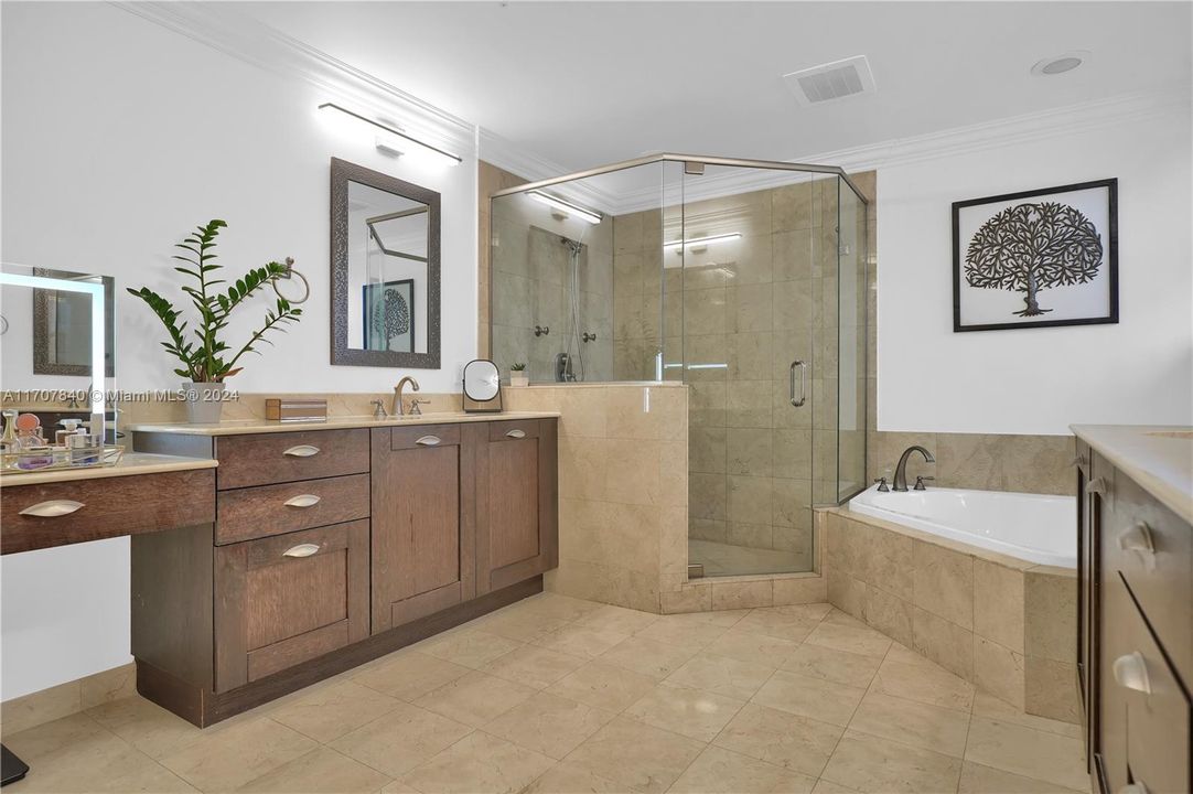 Master bath with jacuzzi