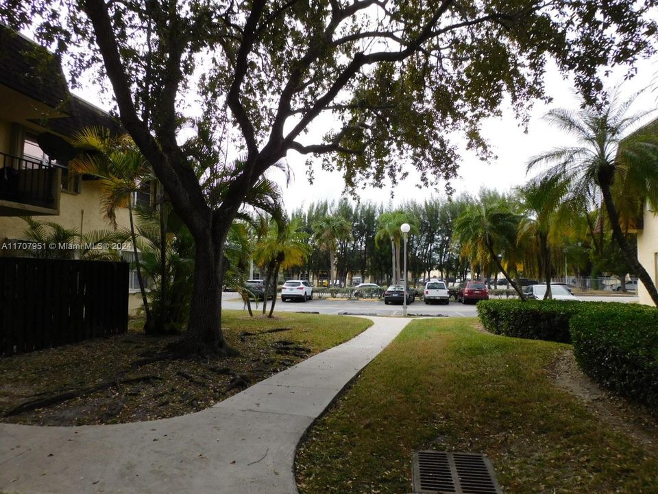 Mature trees and plenty of greenery - parking for 2 cars + guests.