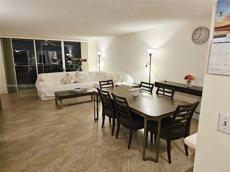 Living-Dining Area