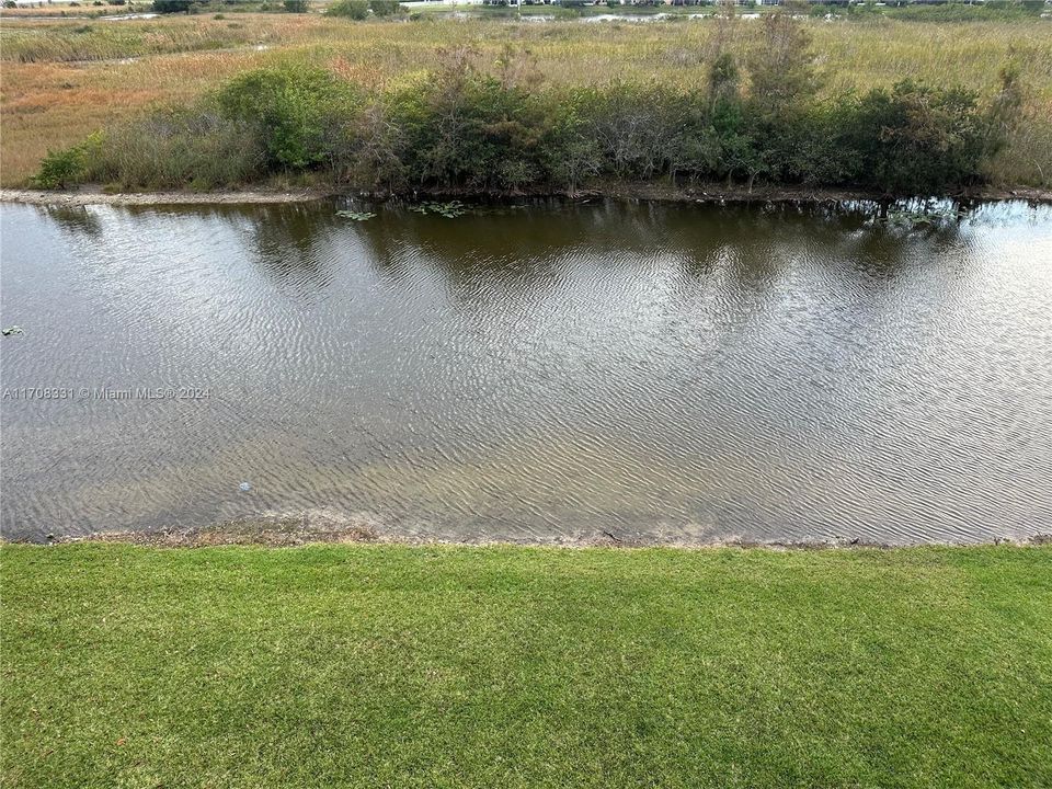 Water View from Balcony