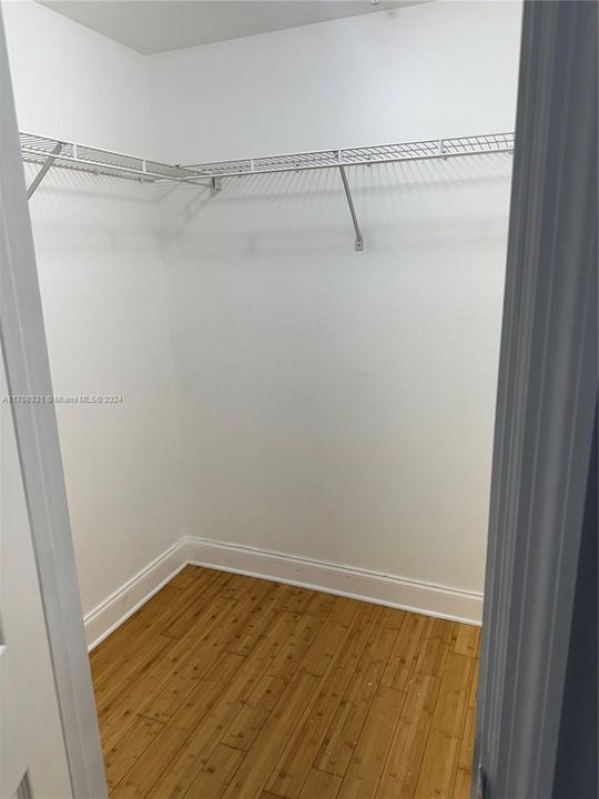 Entrance Coat Closet