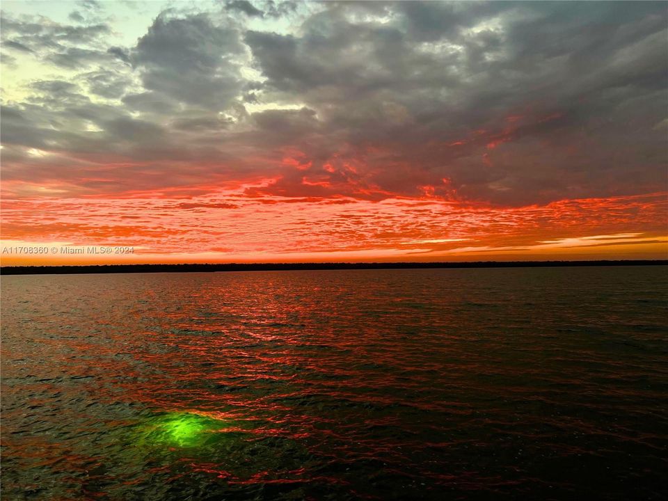 Your own personal Snook light! Bring the big fish right to your dock for unlimited night fishing right from the comfort of your home