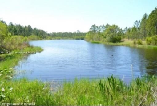 En Venta: $11,900 (0.23 acres)