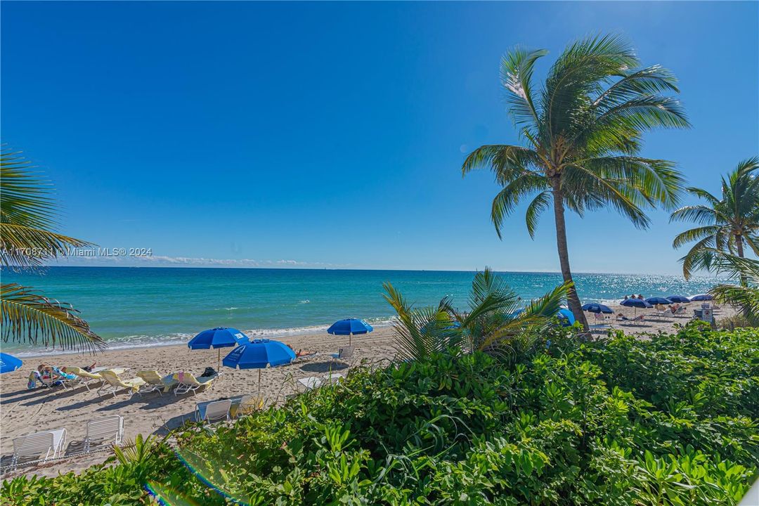 BEACHFRONT LOOKING NORTH