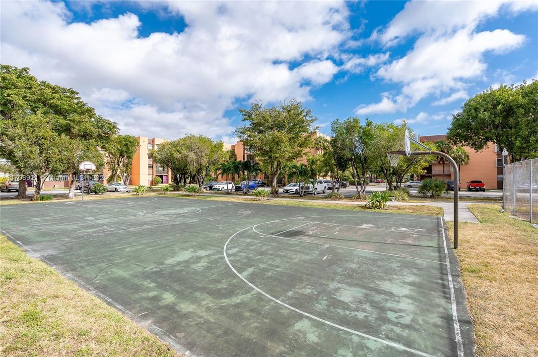 Basketball Court