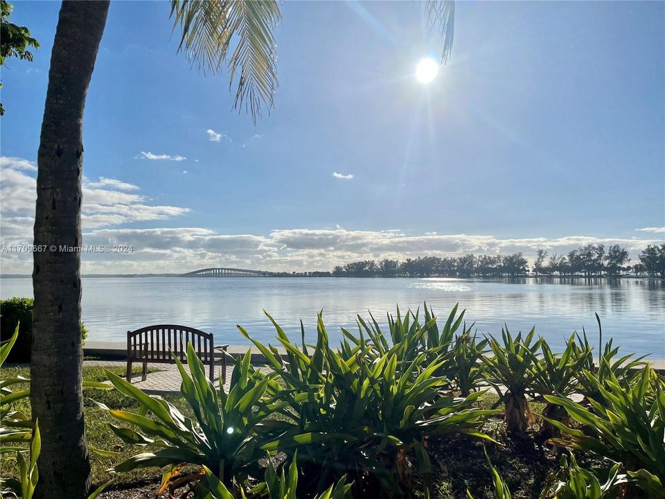 450 sq ft of bay frontage under the tikis