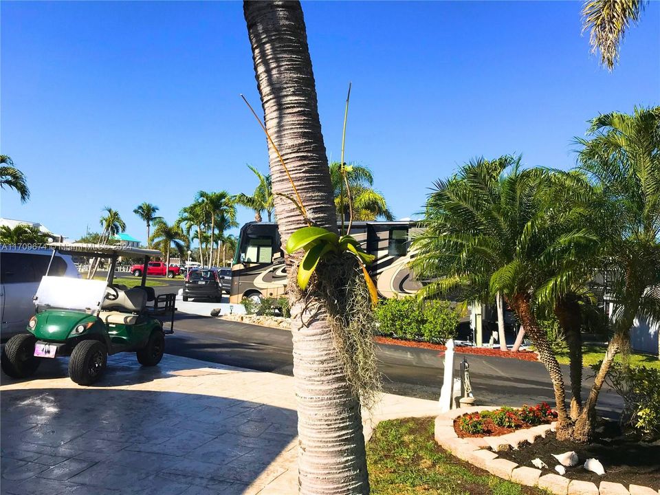 Looking out at the road in front. Many residents use golf carts to get around the island