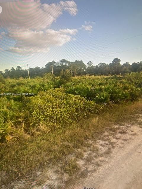 For Sale: $26,000 (0.25 acres)