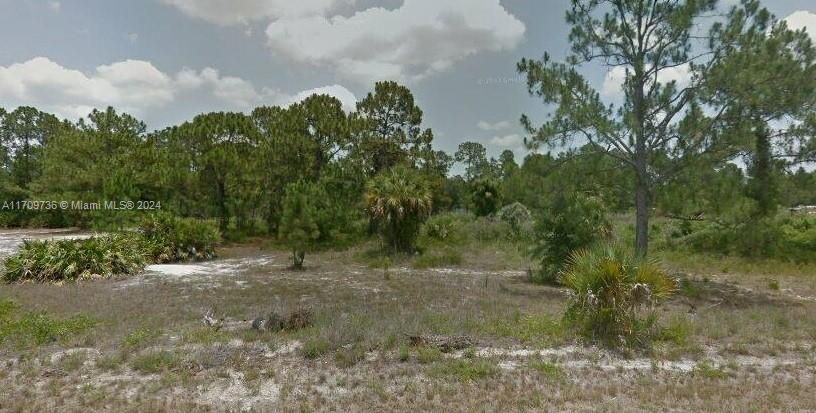 For Sale: $49,999 (1.25 acres)