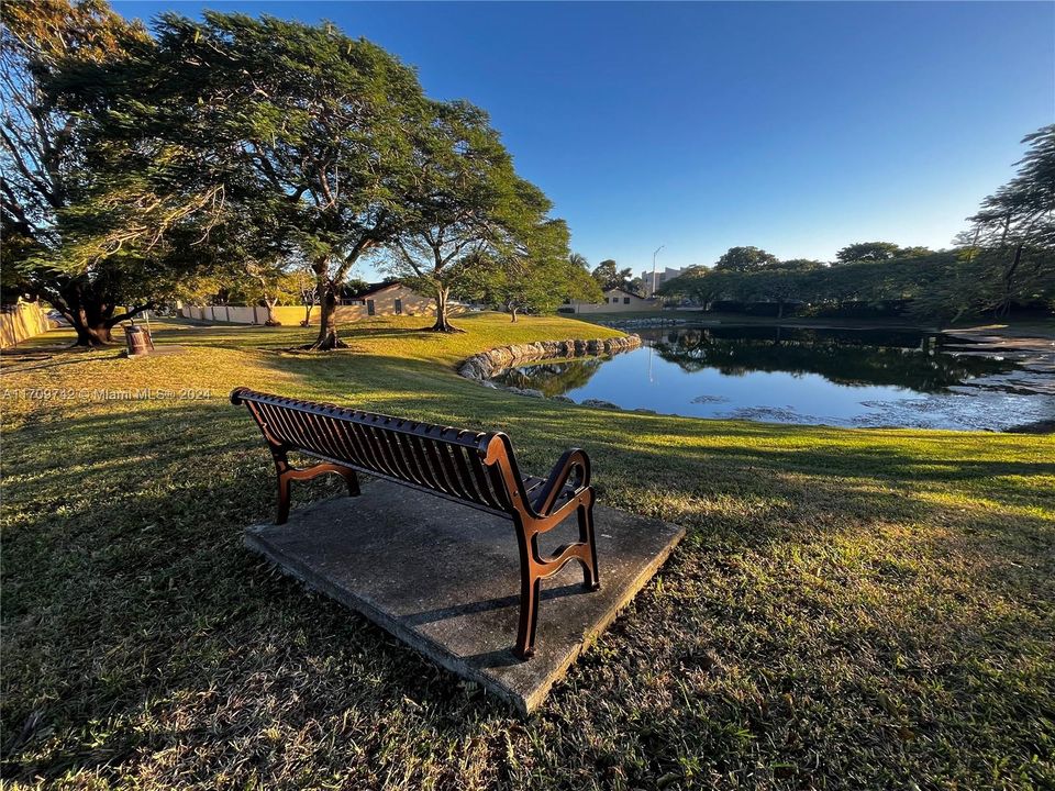 Community Pond