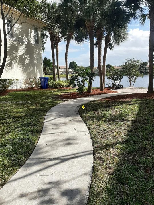 Pathway to Lake