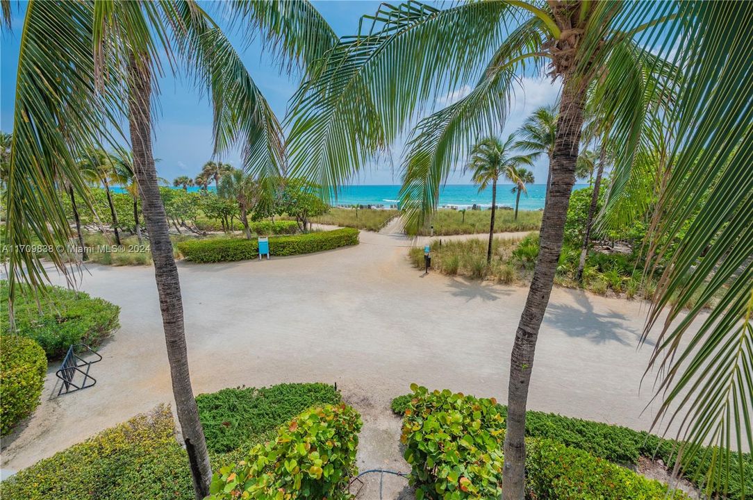 Beach Walking Path