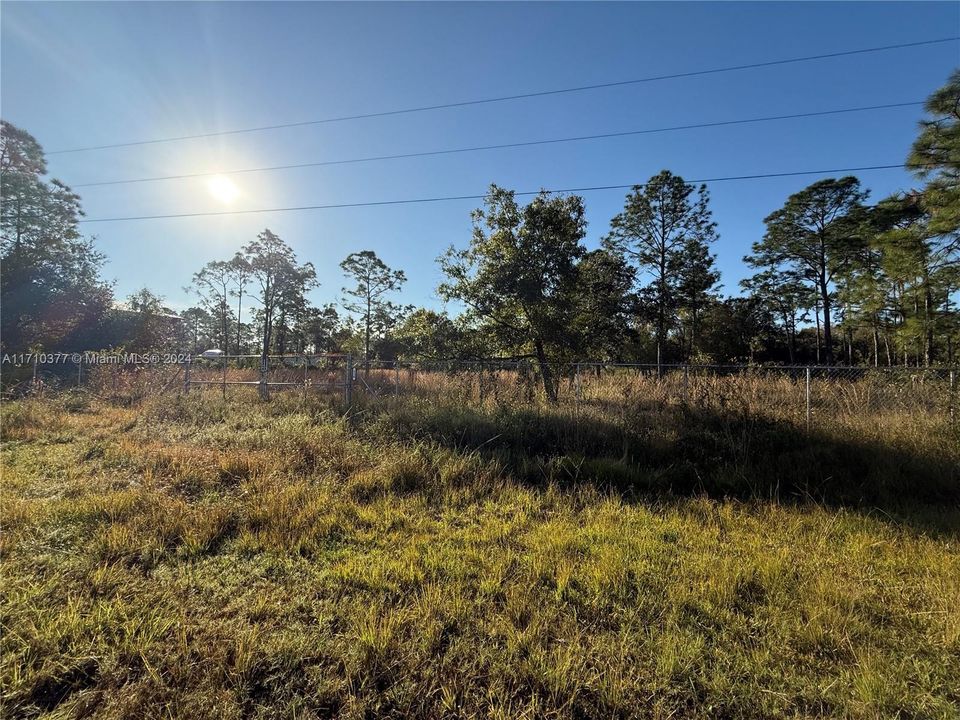 For Sale: $54,999 (1.25 acres)