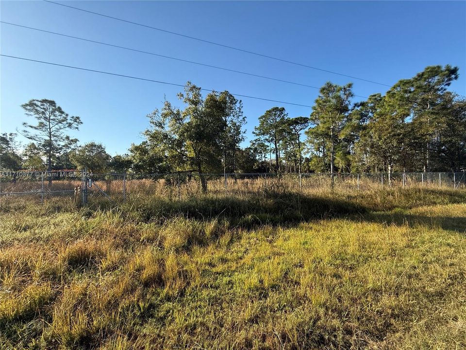 For Sale: $54,999 (1.25 acres)